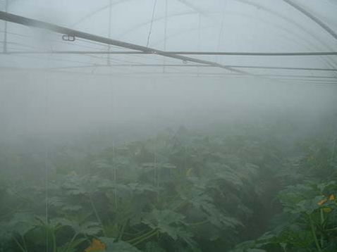 High Pressure Fog System